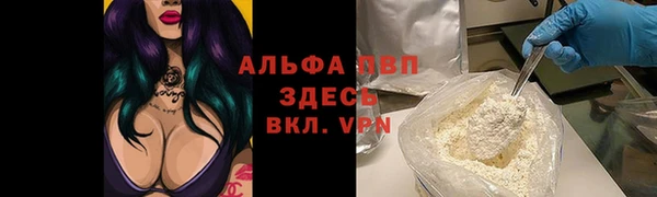 винт Богданович