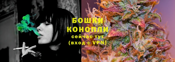 индика Медногорск