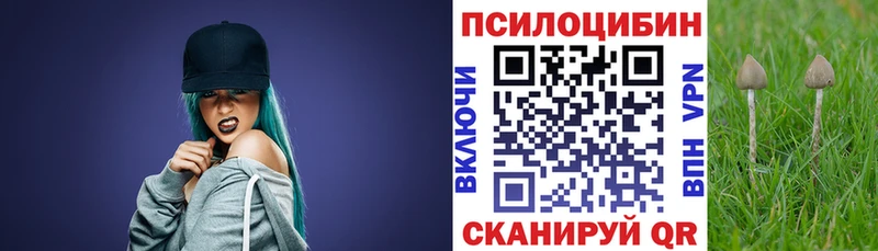 Псилоцибиновые грибы ЛСД Змеиногорск